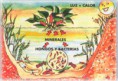 FUNCIÓN Y BIODIVERSIDAD DE LOS ECOSISTEMAS